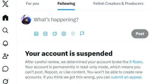 Sexy sits permanently suspended after twitter x purge